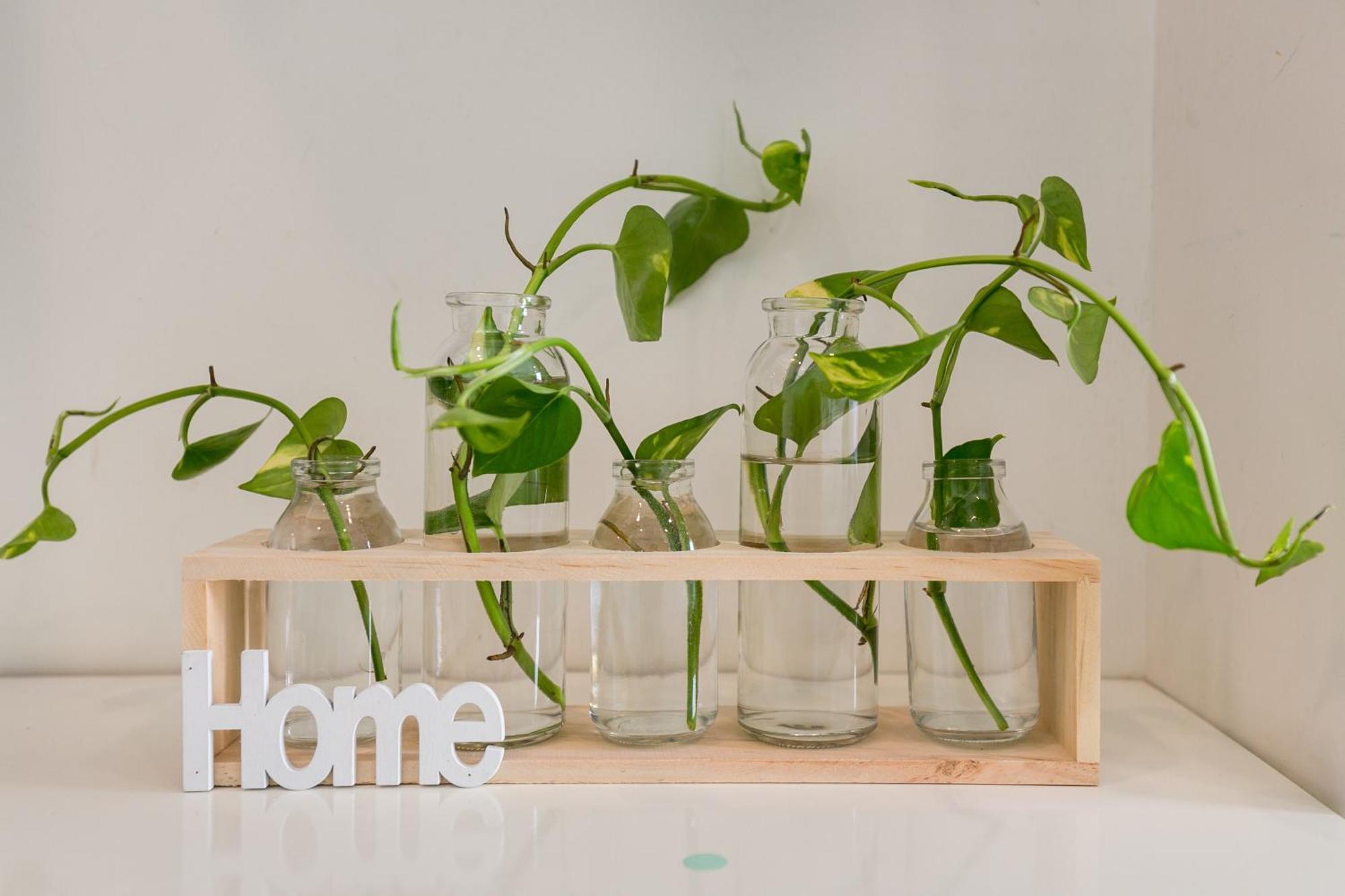 Rivergate Residence - Goby Home - Lux Apartment, Near Ben Thanh 胡志明市 外观 照片